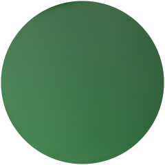 Europlex - Bacinella alimentare 33x27x10 verde